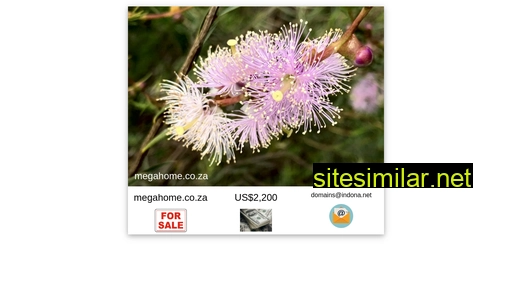 megahome.co.za alternative sites