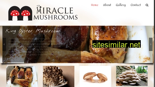 miraclemushrooms.co.za alternative sites