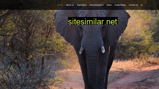 Ngirisafaris similar sites