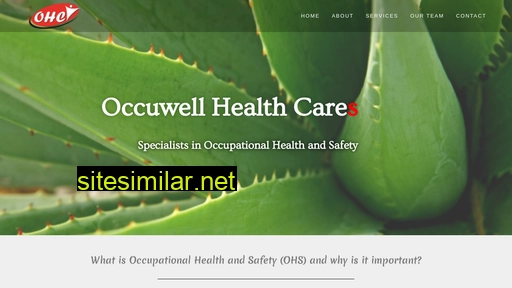 occuwell.co.za alternative sites