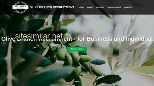 olivebranchrecruitment.co.za alternative sites