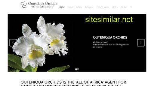 Outeniquaorchids similar sites