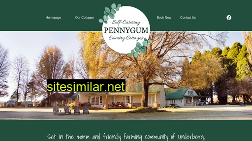 pennygum.co.za alternative sites