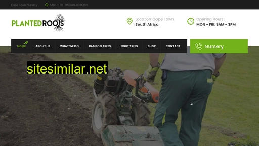 plantedroots.co.za alternative sites