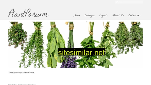 plantporium.co.za alternative sites
