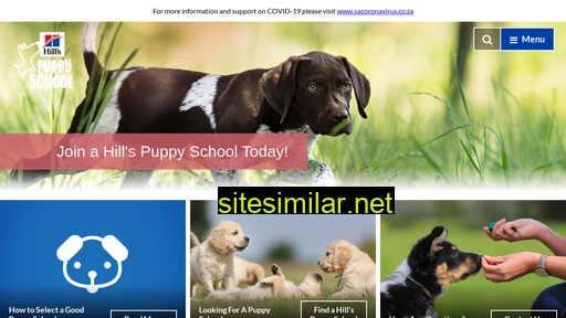puppyschool.co.za alternative sites