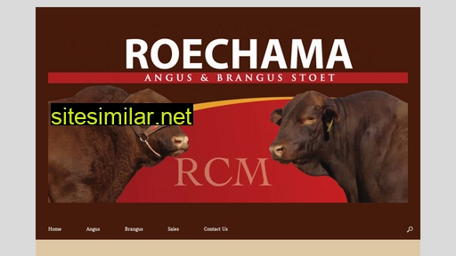 roechama.co.za alternative sites