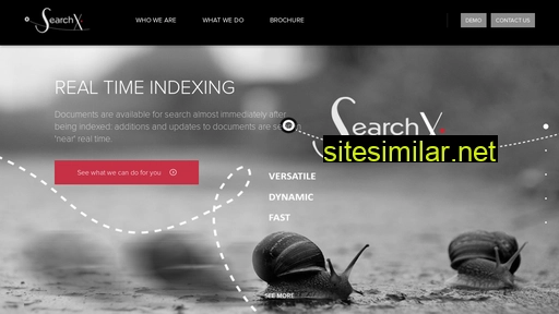 searchx.co.za alternative sites