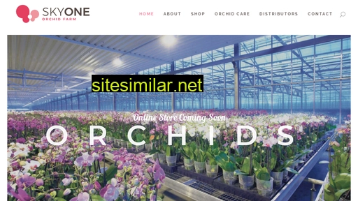 skyoneorchids.co.za alternative sites