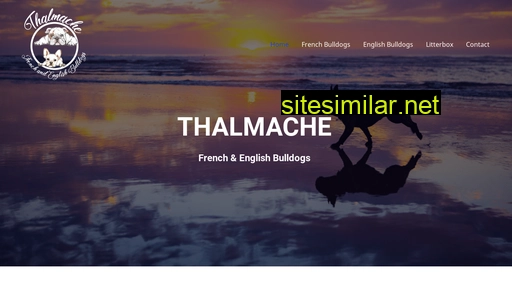 thalmache.co.za alternative sites