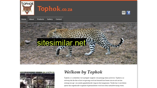 tophok.co.za alternative sites
